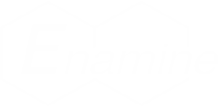 Enamine company logo