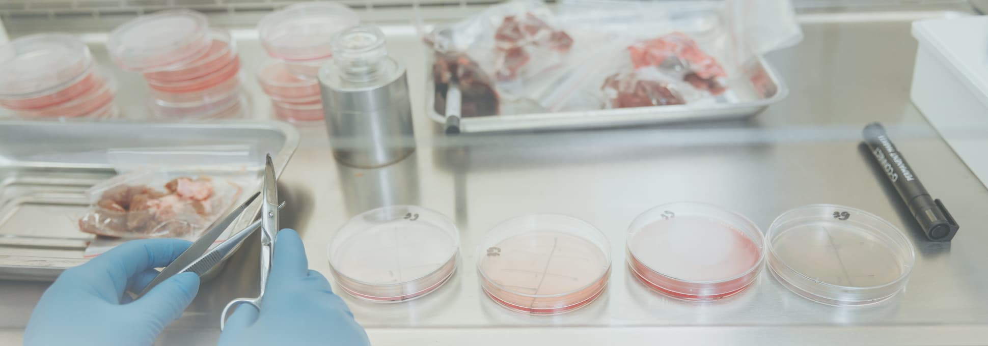 Library image center