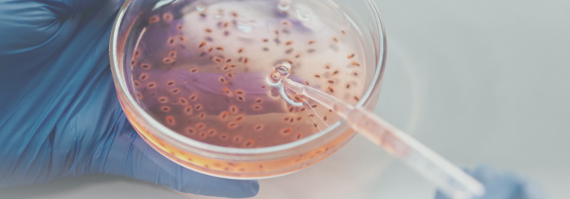 Library image center