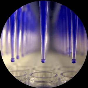 Bioactive Screening Compound Libraries illustration