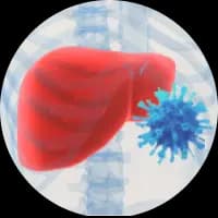 Disease Related Compound Libraries illustration