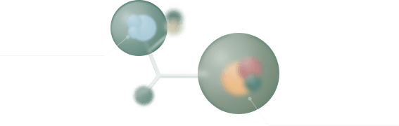 Bioactive compound molecular structure illustration