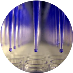 Bioactive Screening Compound Libraries illustration