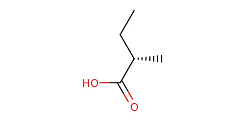 EBC-04376