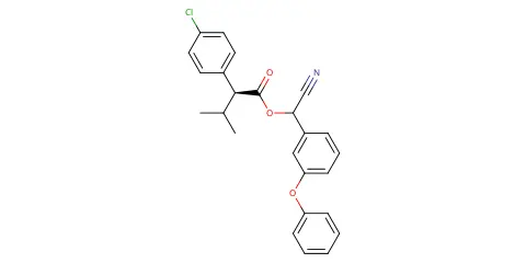 EBC-12444