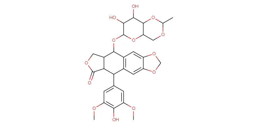 EBC-13251