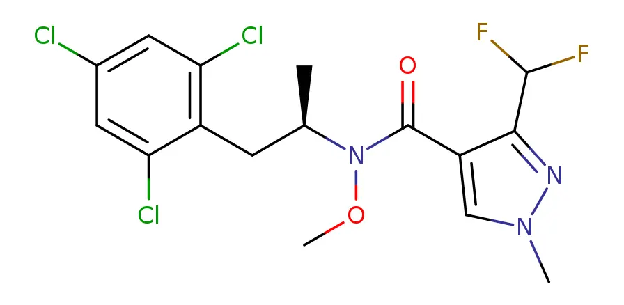 Molecule product