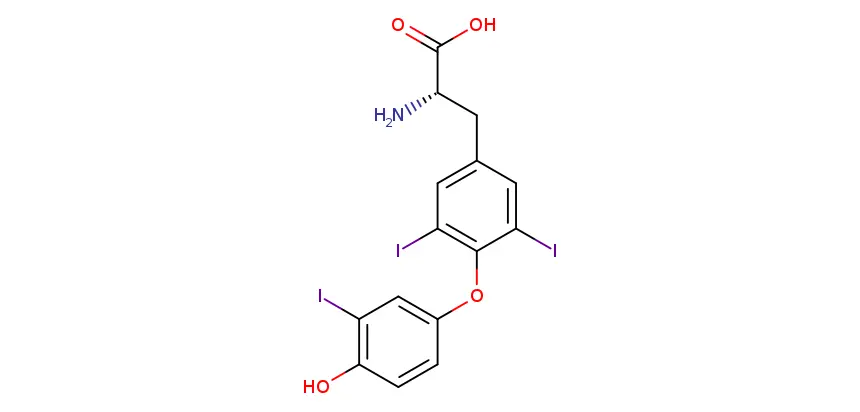 EBC-13881