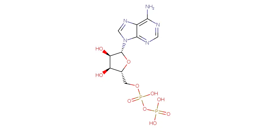Molecule product