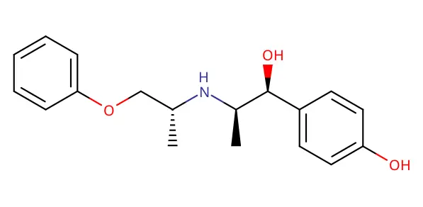 Molecule product