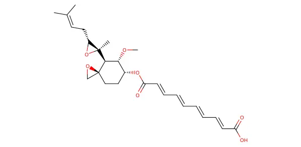 Molecule product