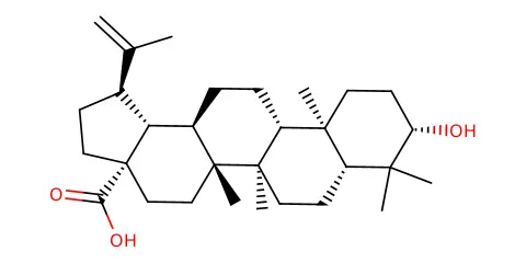 EBC-445041