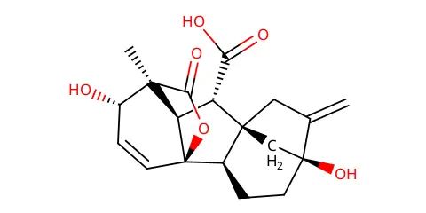 EBC-46175