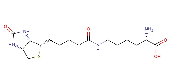 Molecule product