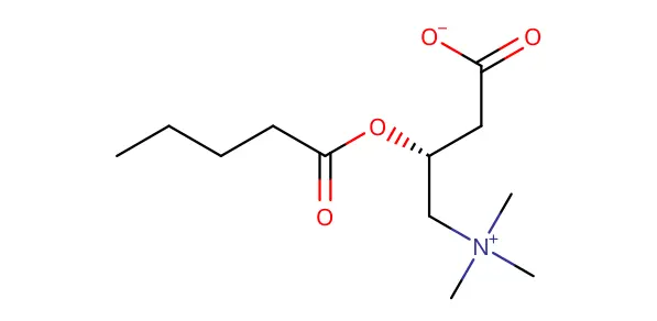 Molecule product