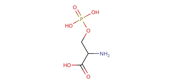Molecule product