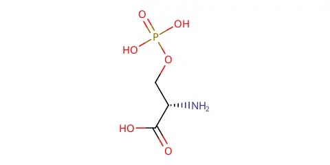EBC-616339