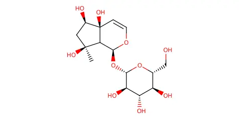 EBC-616428