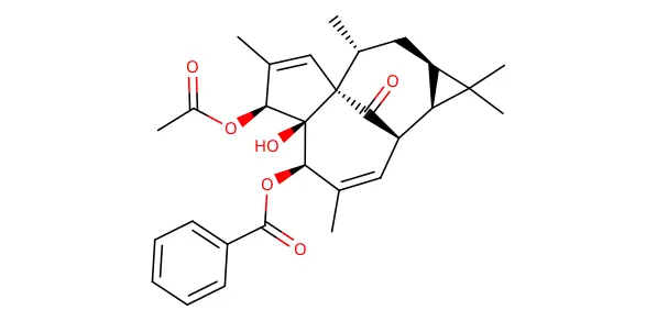 Molecule product