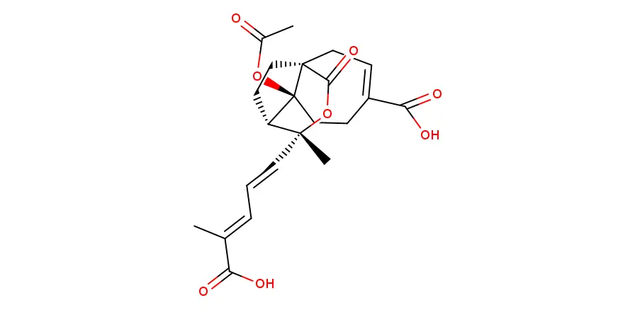 Molecule product