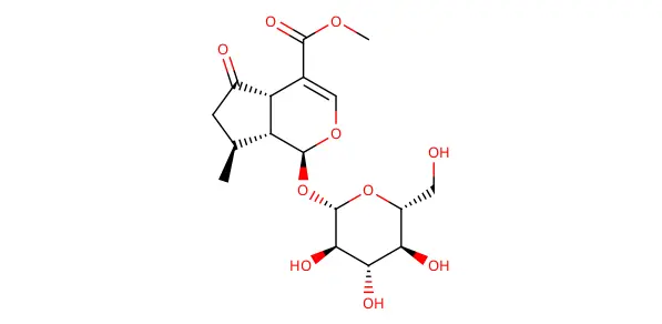 Molecule product