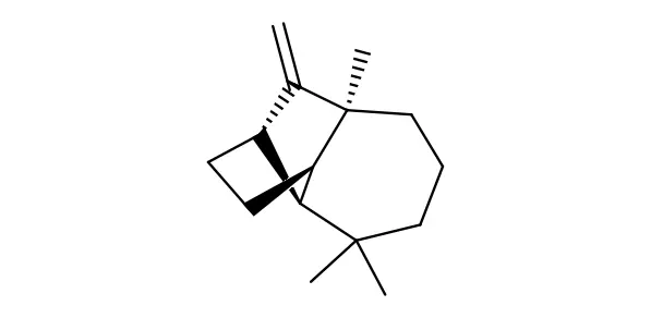 Molecule product